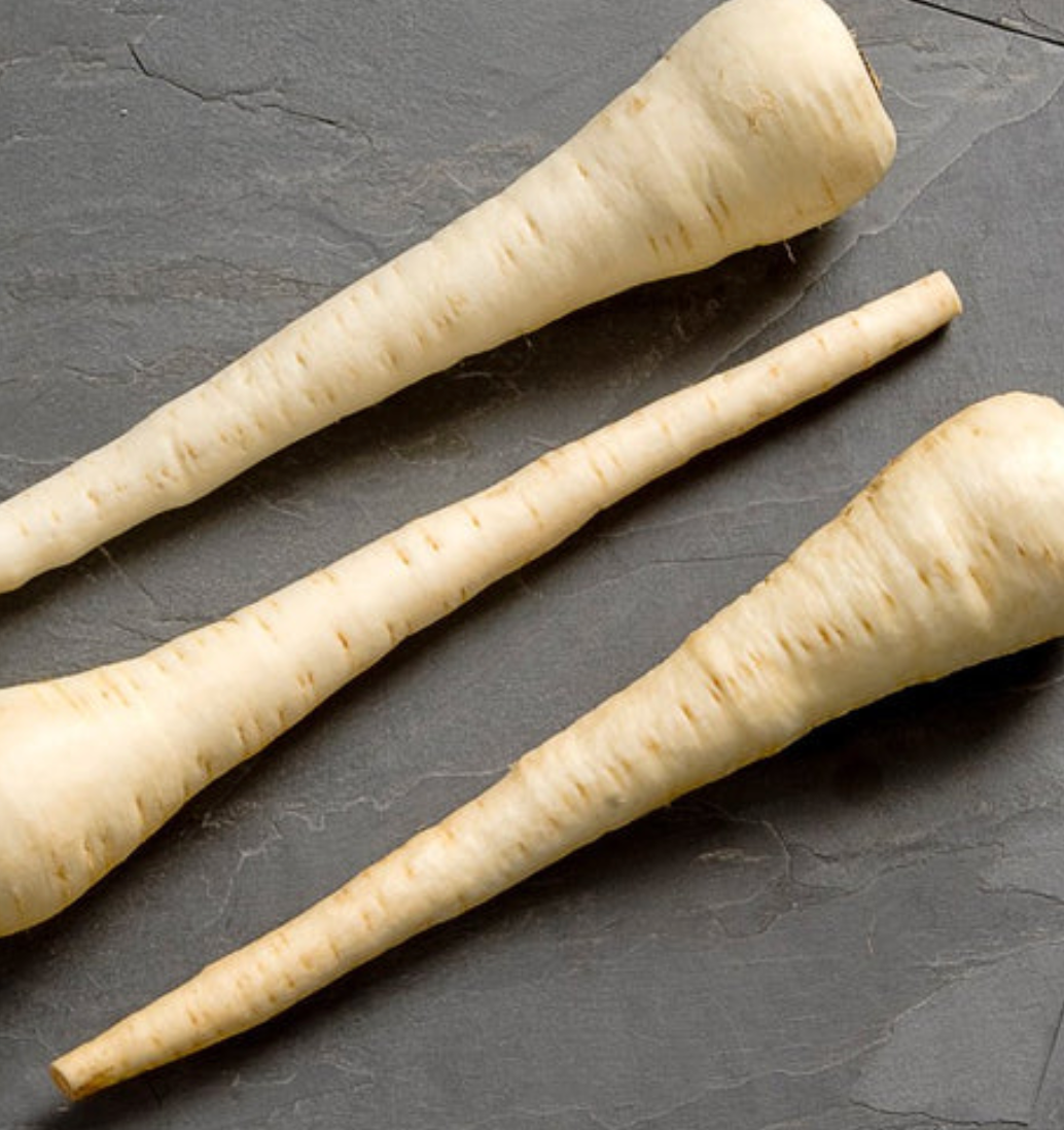 Parnsip | White Spear | Seeds