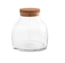 Amalia Terrarium Jar