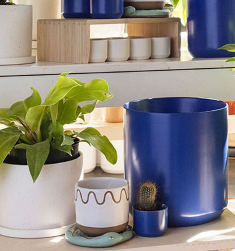 Ceramic Snake Pot + Saucer