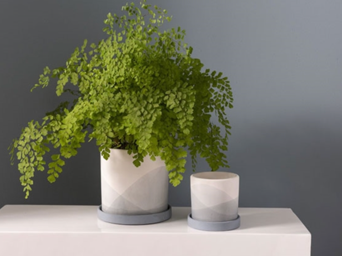 Keppel Ceramic Pot + Saucer