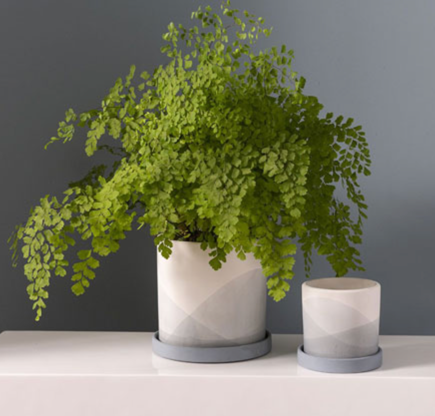 Keppel Ceramic Pot + Saucer