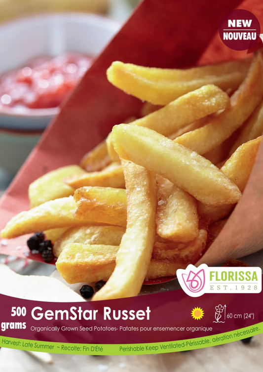 Potato Seed | GemStar Russet Organic