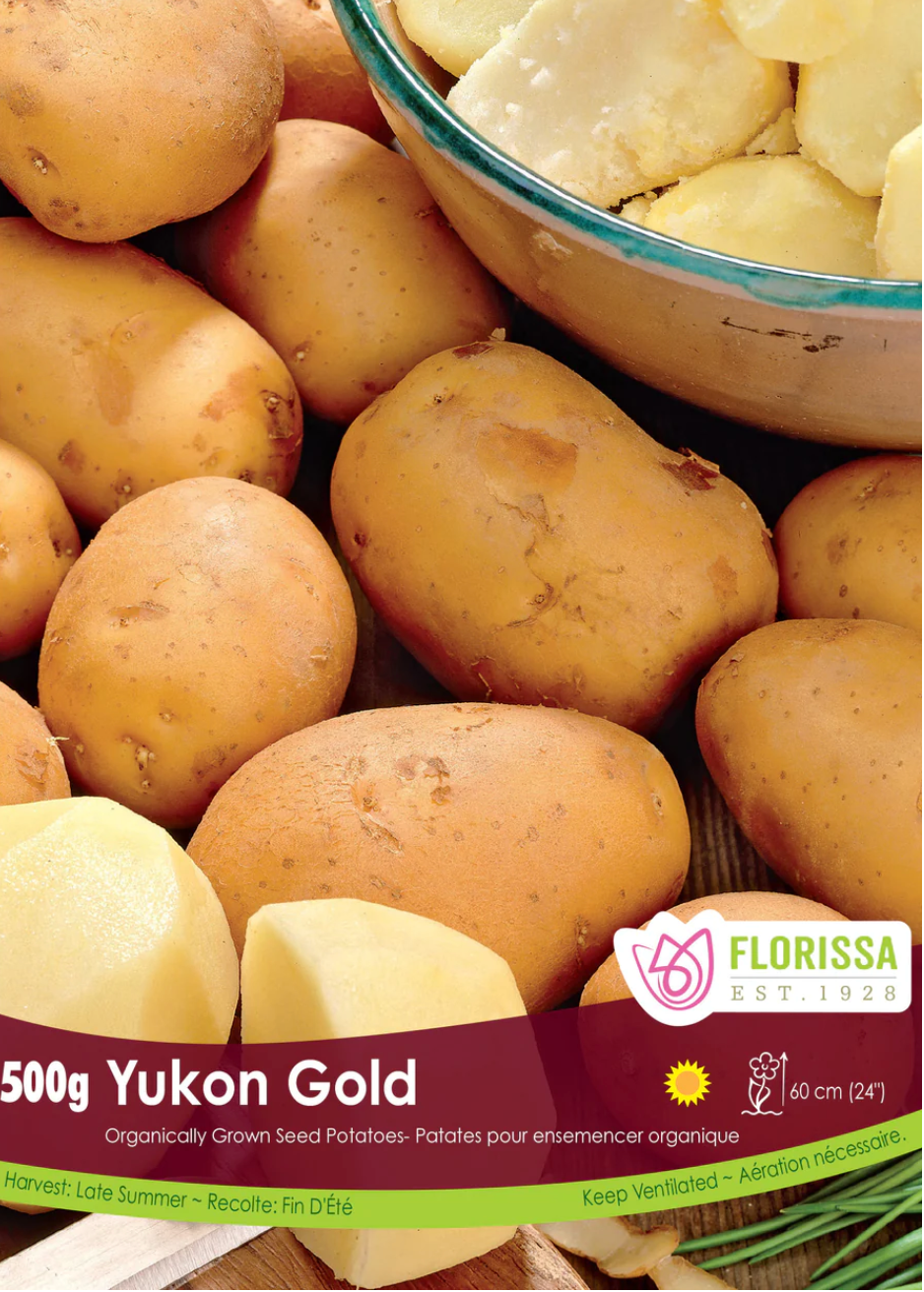 Potato Seed | Yukon Gold Organic 500g