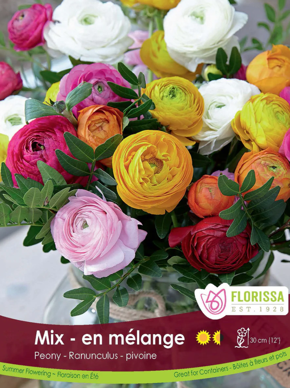 Ranunculus | Mix