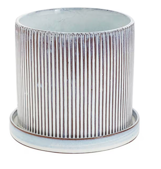 Curio Pot