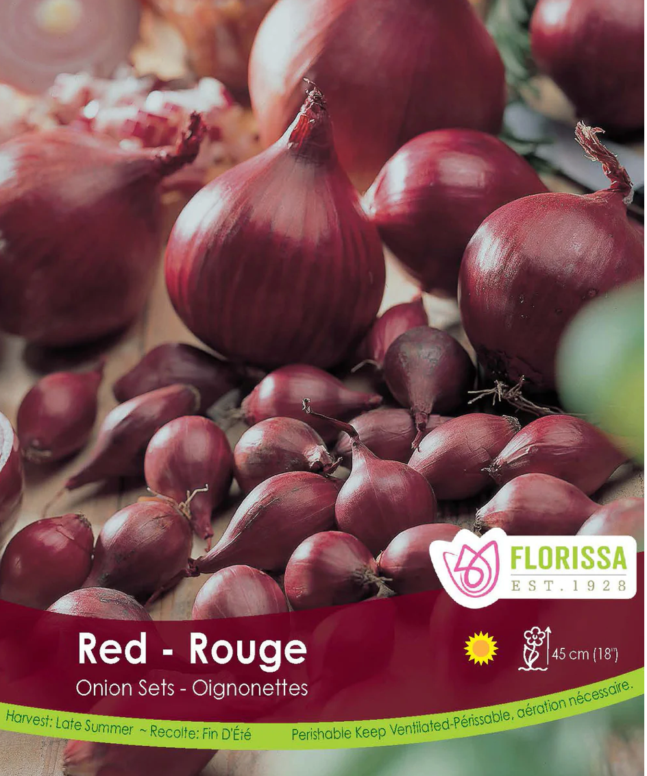 Onion Sets | Red Karmen Spanish