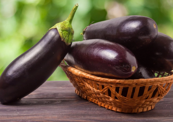 Eggplant 3.5" | Garden Seedling