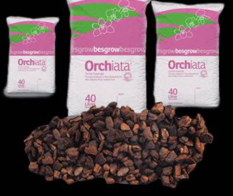 Besgrow Orchiata 12-18mm