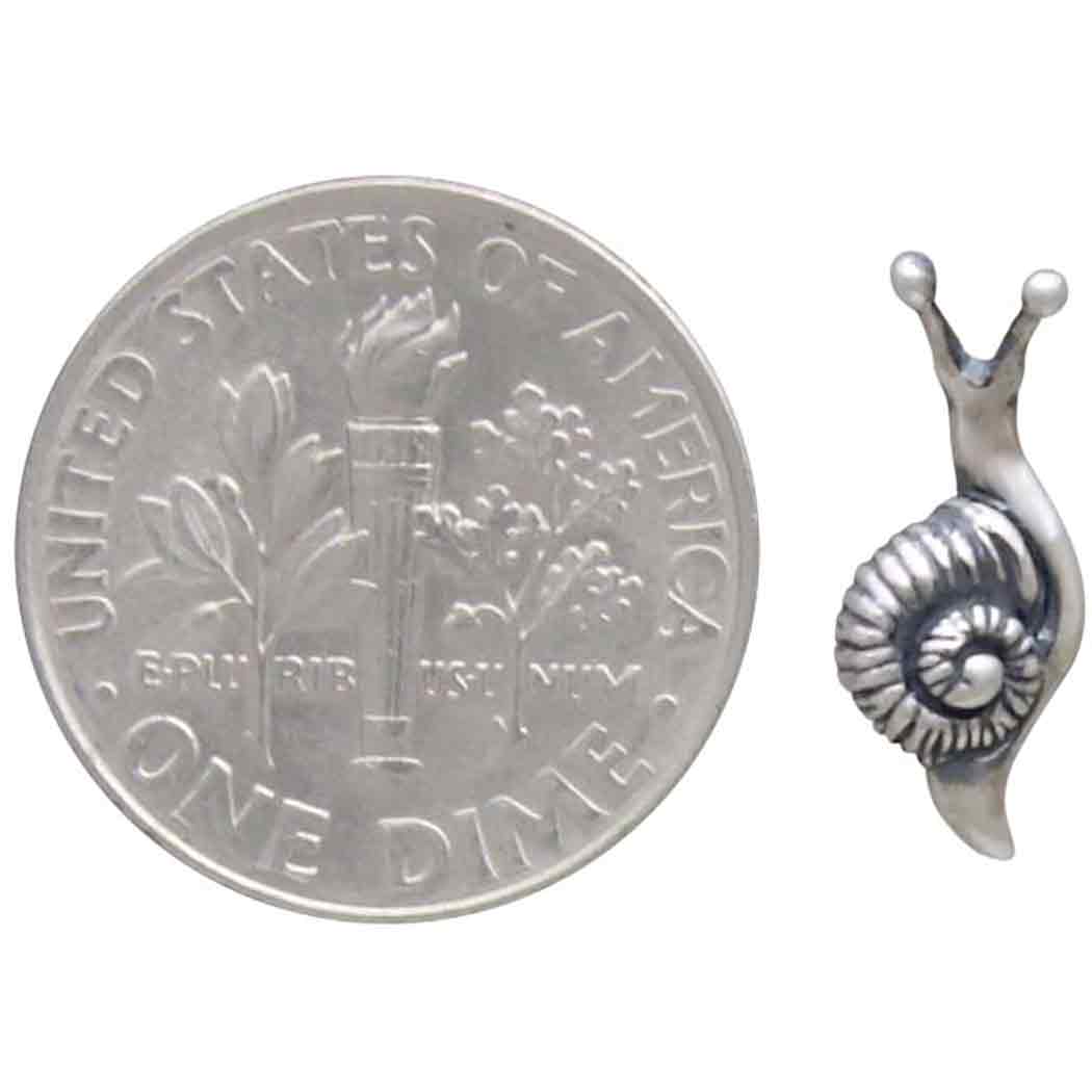 Snail Stud Earrings