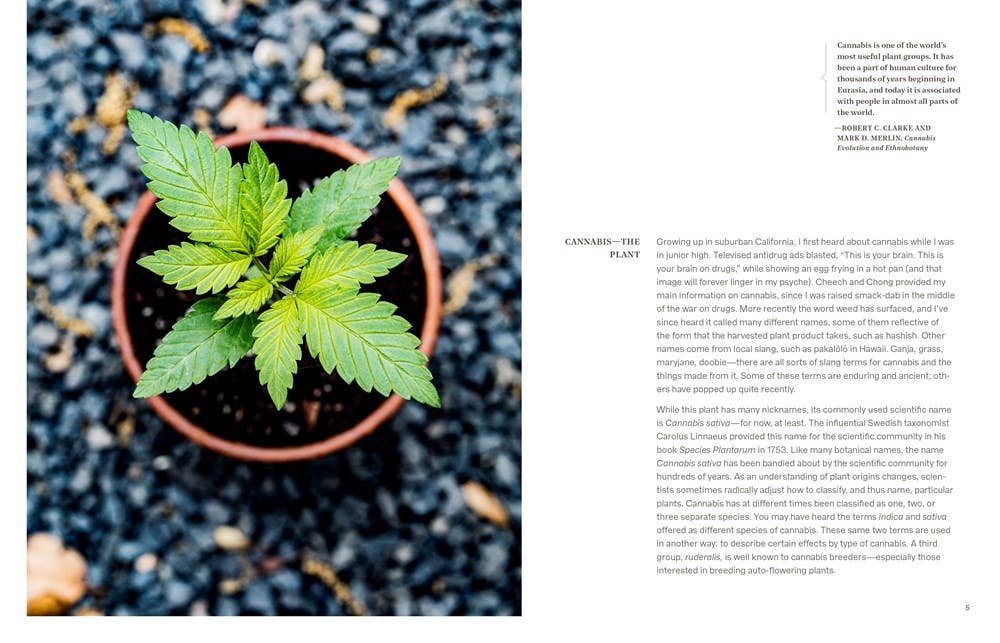 Cannabis Gardener: A Beginner's Guide to Growing