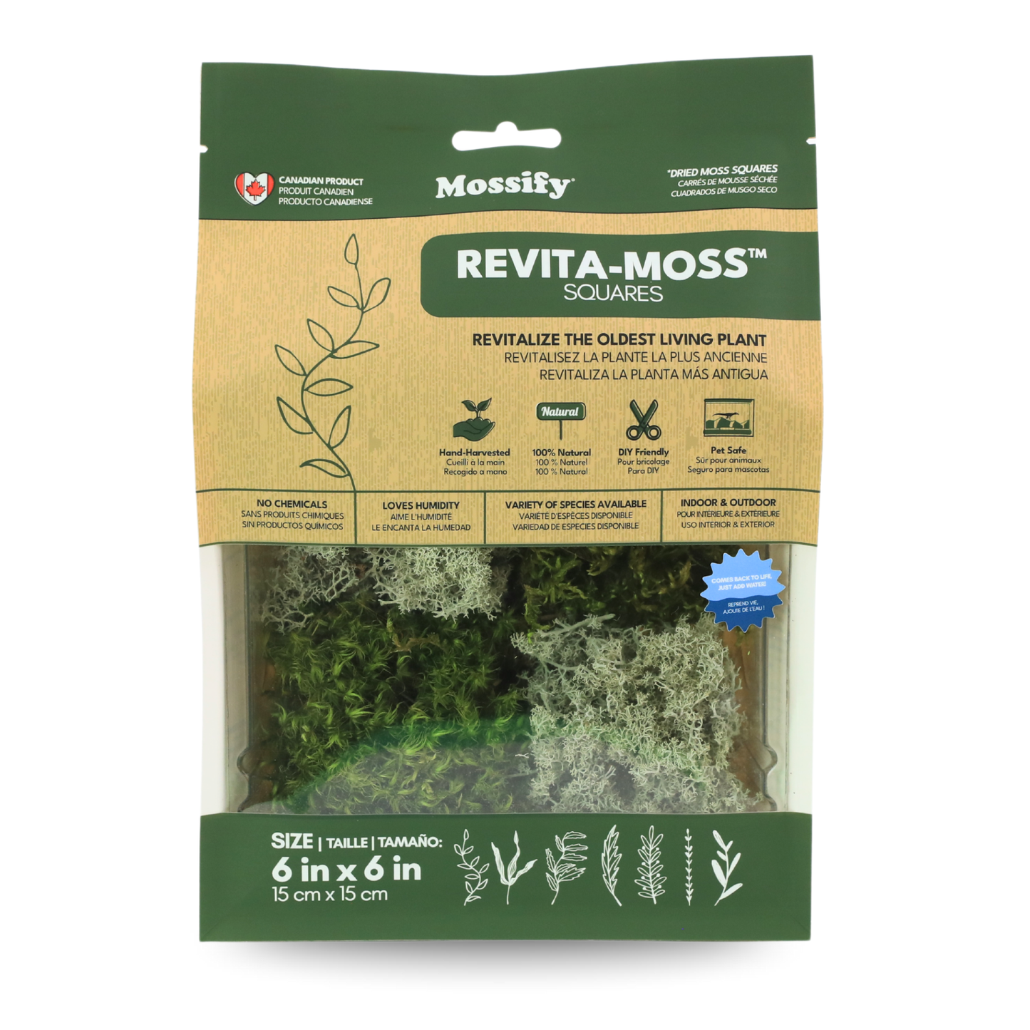 Mossify Revita-Moss 4 Pack Live
