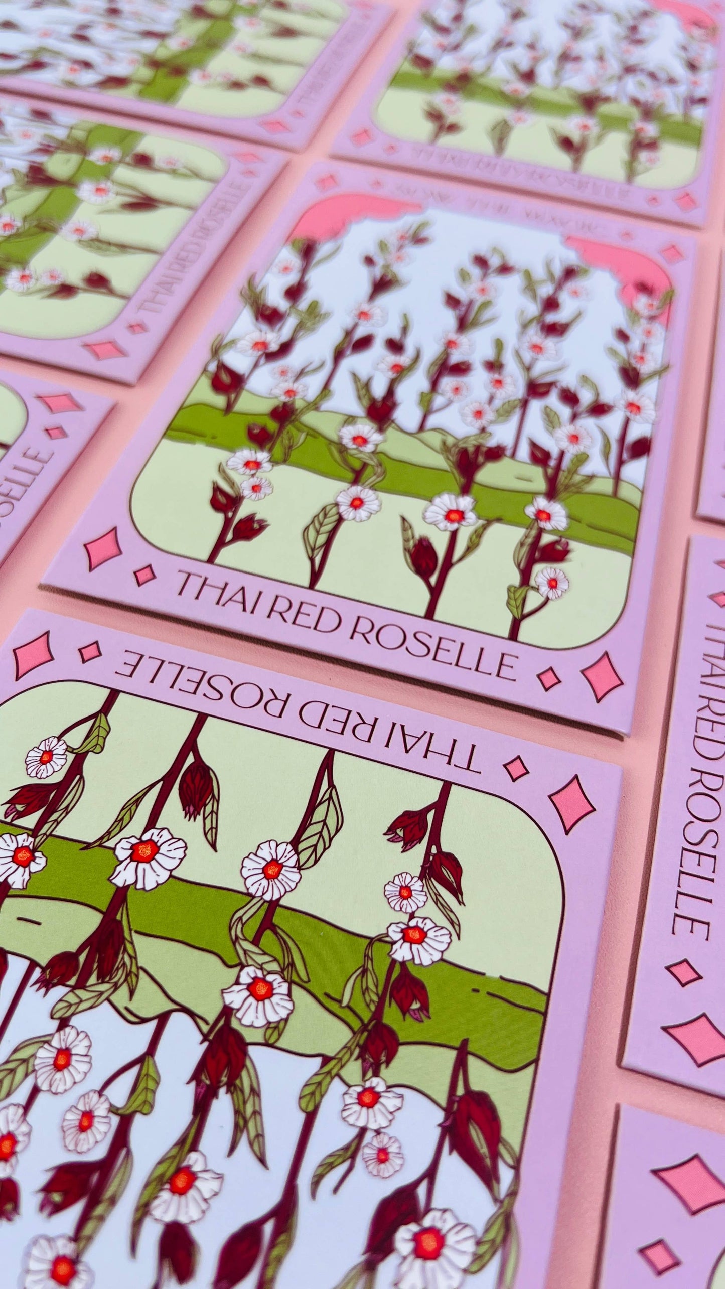 Tarot Card Seeds | Thai Red Roselle Hibiscus