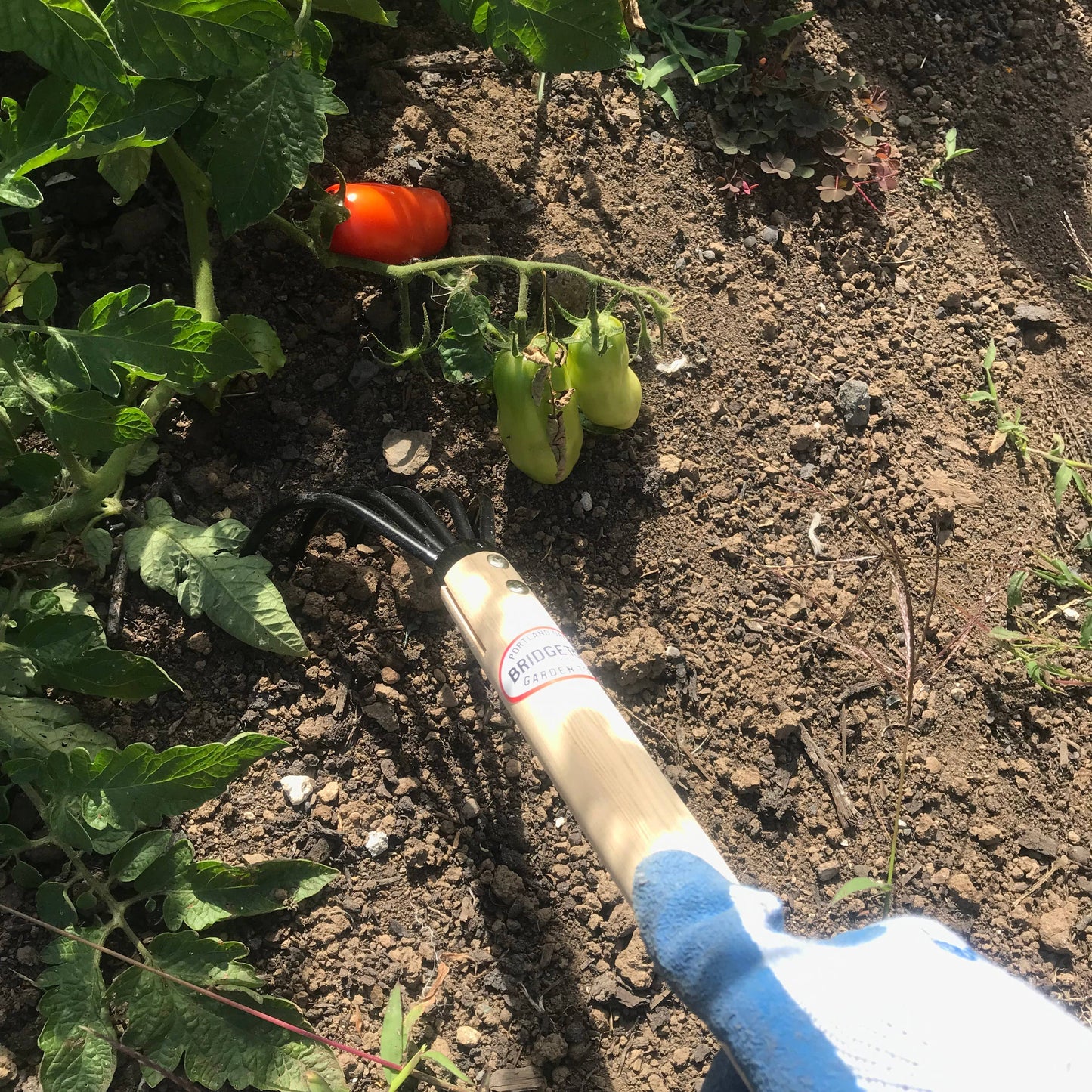 Long Handle Claw Rake & Cultivator