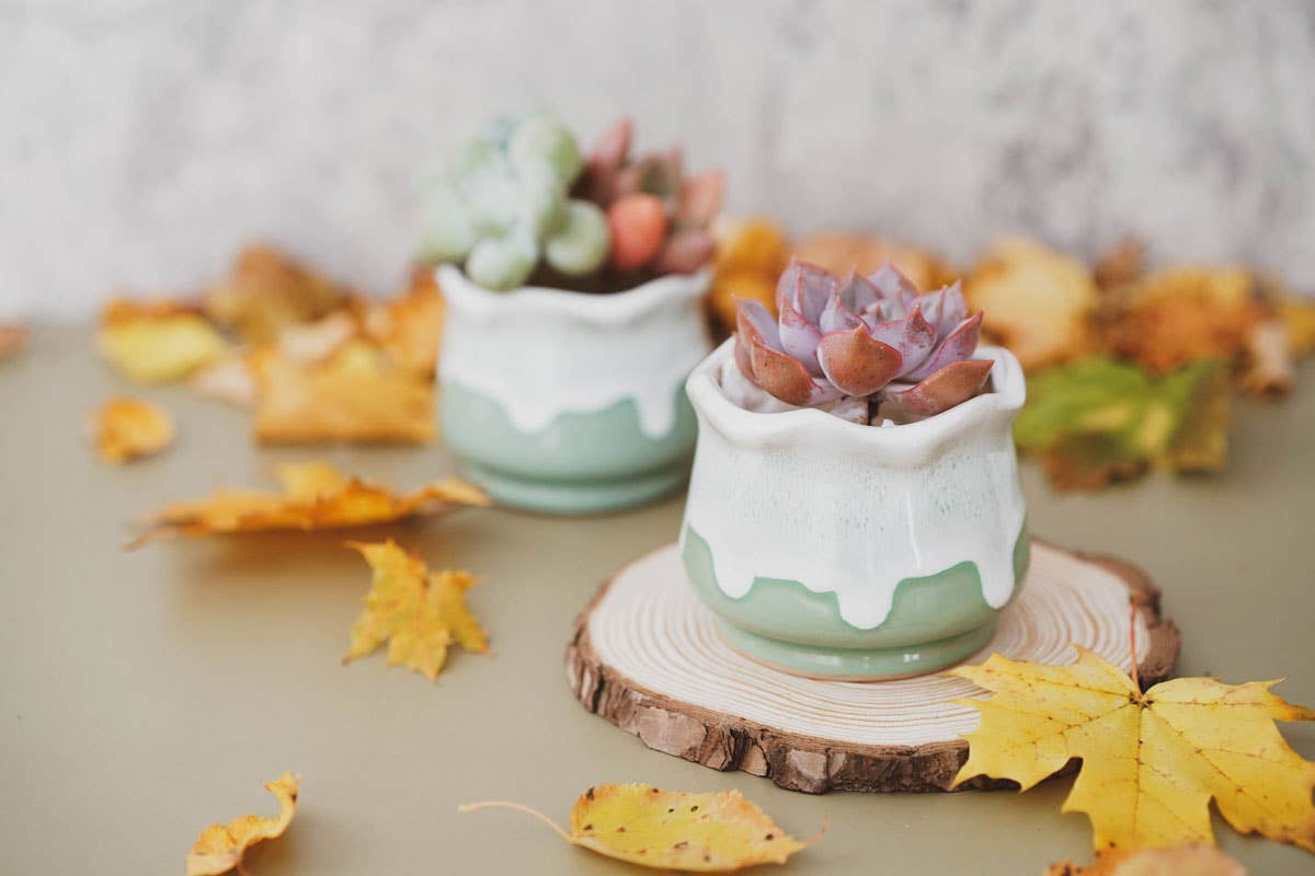 Ceramic Drip Milky Green Lotus