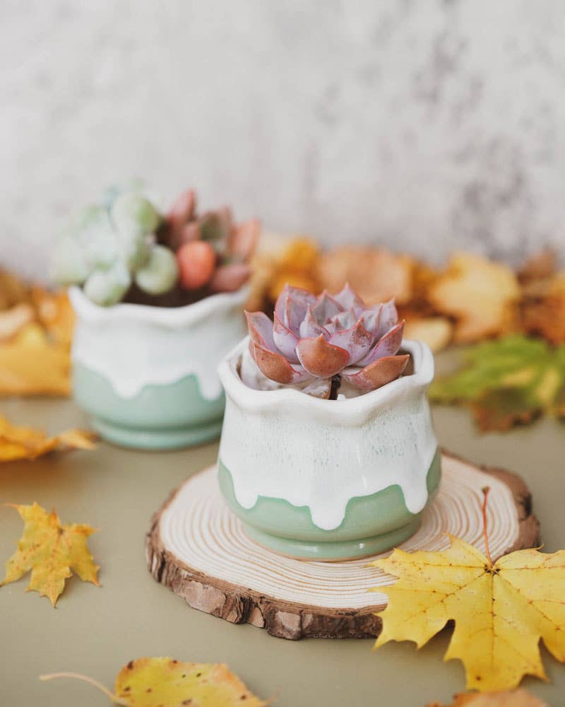 Ceramic Drip Milky Green Lotus