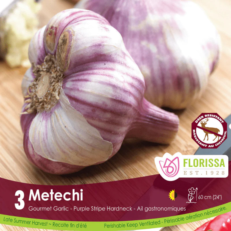 Garlic | Metechi 3pk