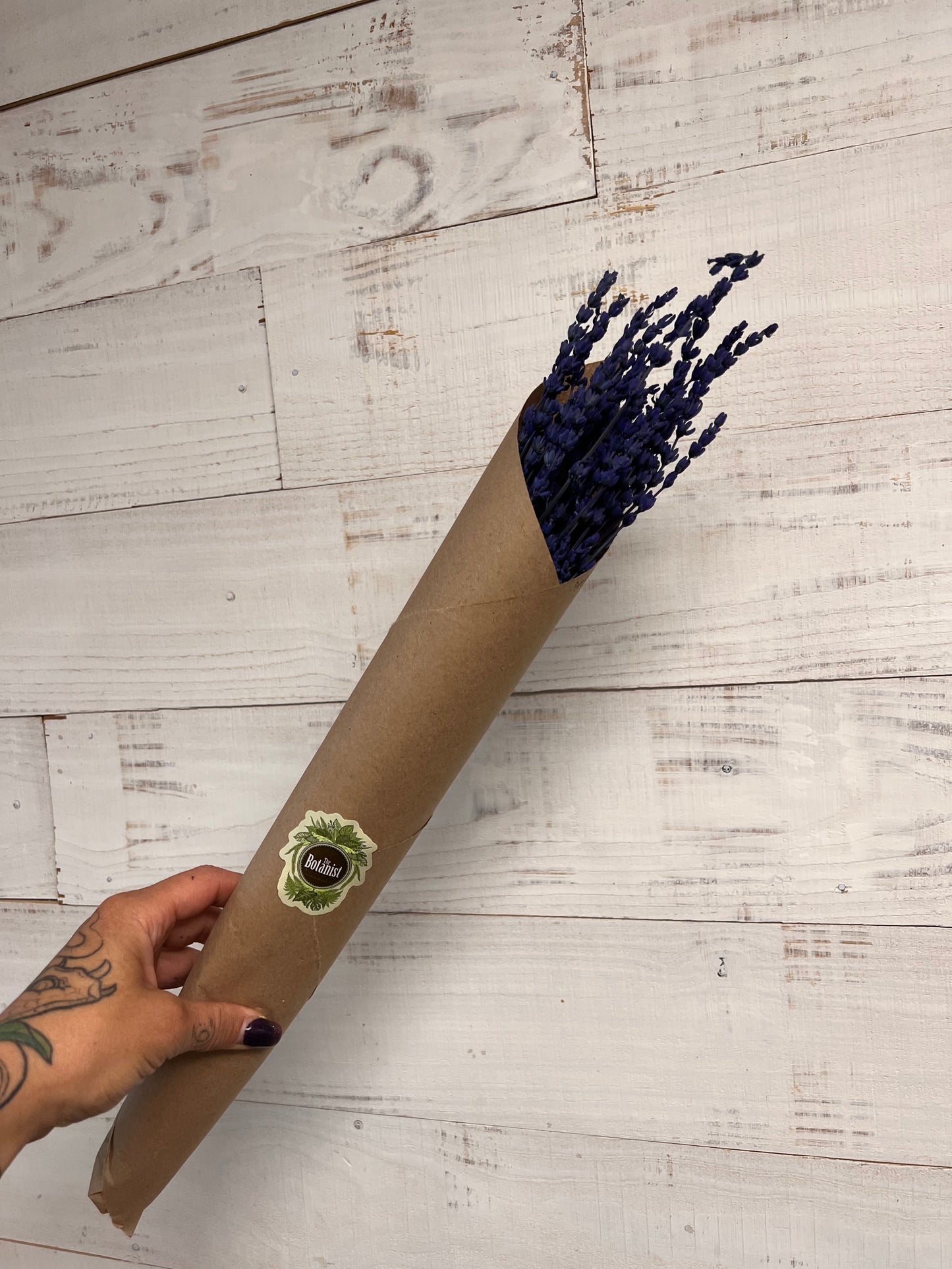 Dried & Preserved Floral | Lavender