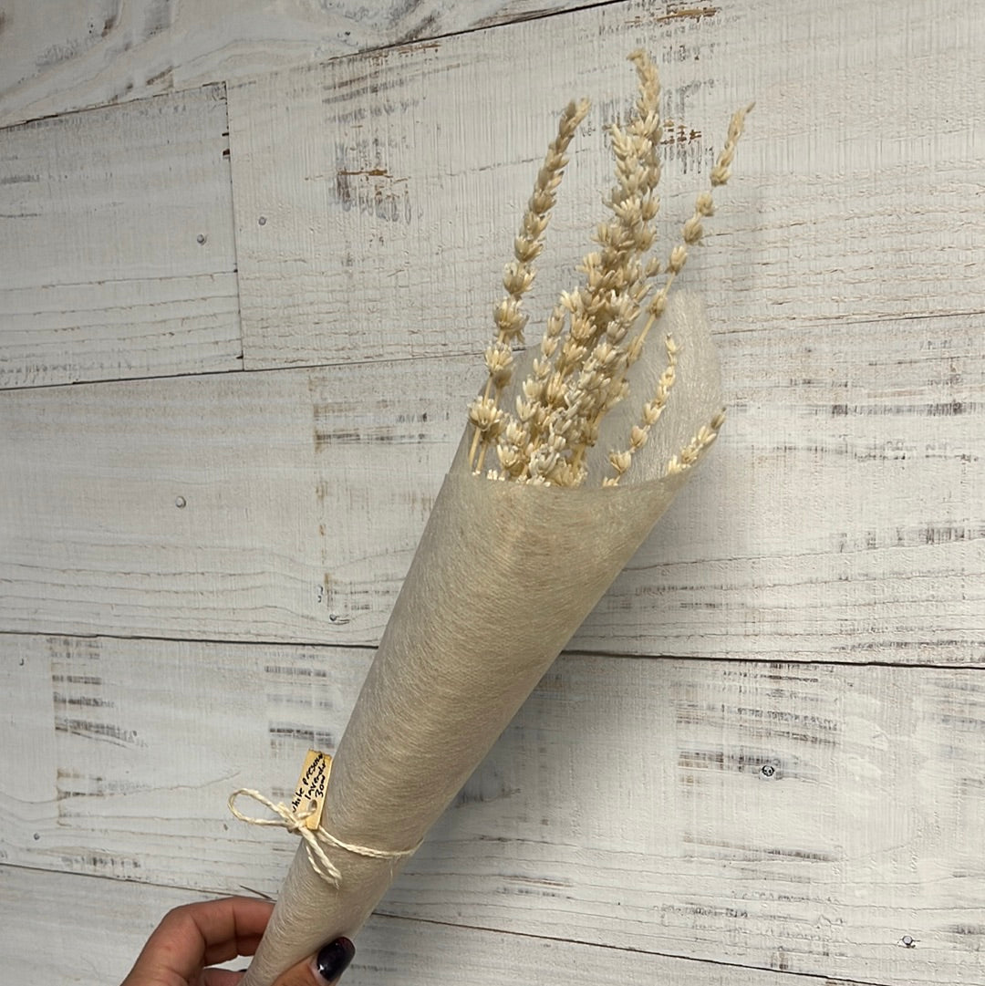 Dried & Preserved Floral | Lavender