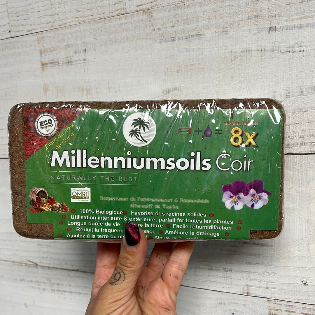 Coco Coir Brick Milleniumsoils