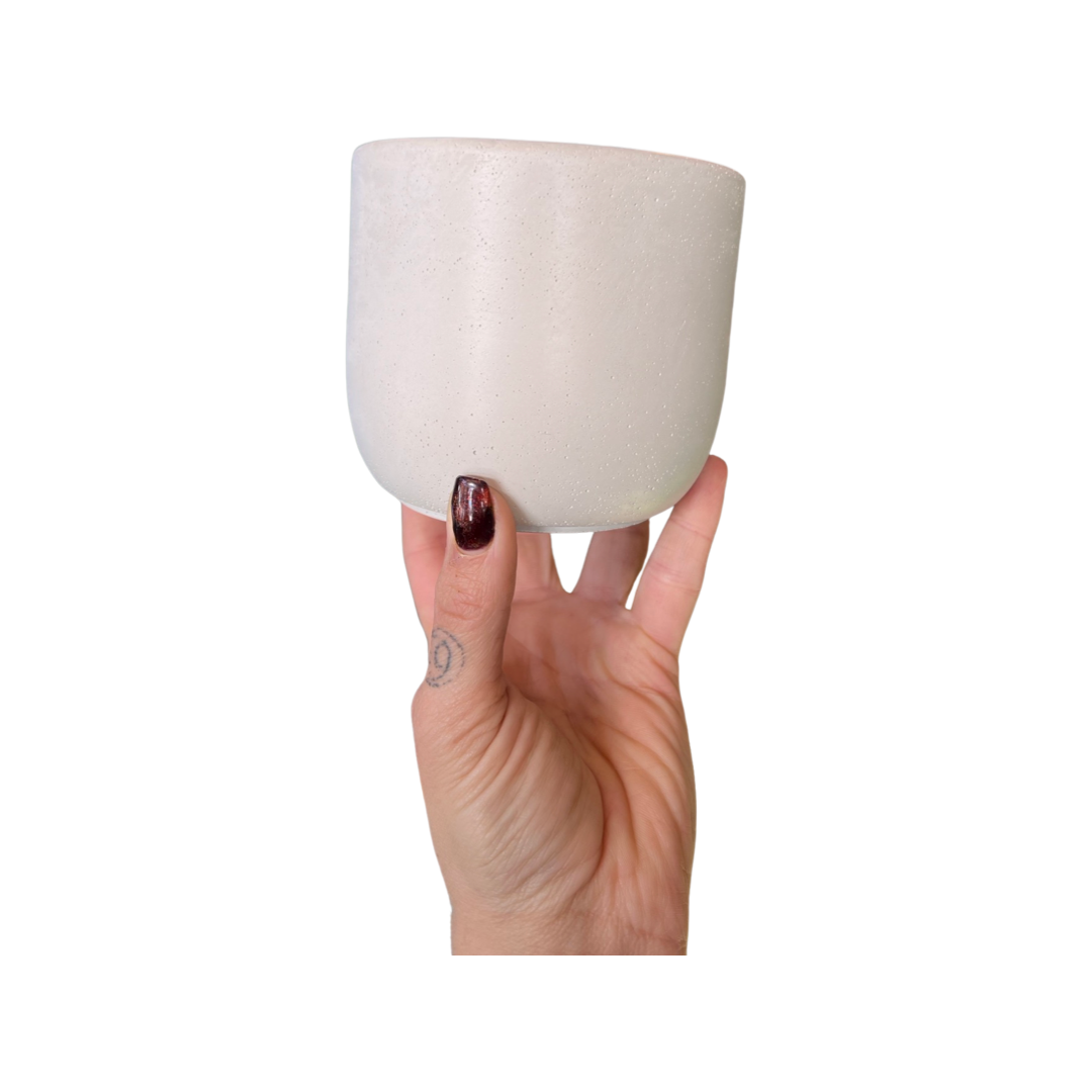 Tulip Minimalist Planter