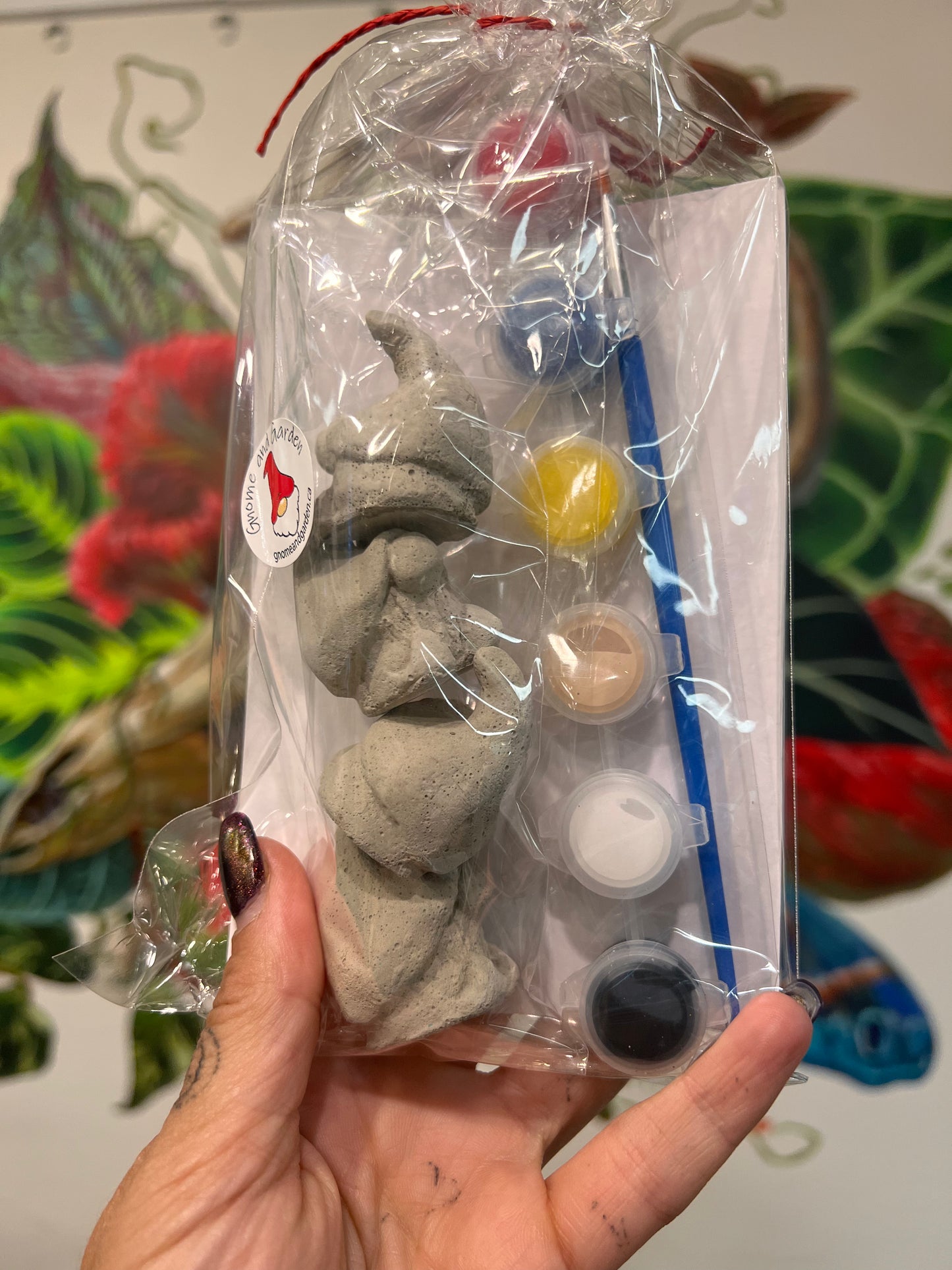 Gnome And Garden