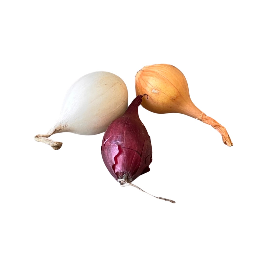 Onion Sets| Savory Mix