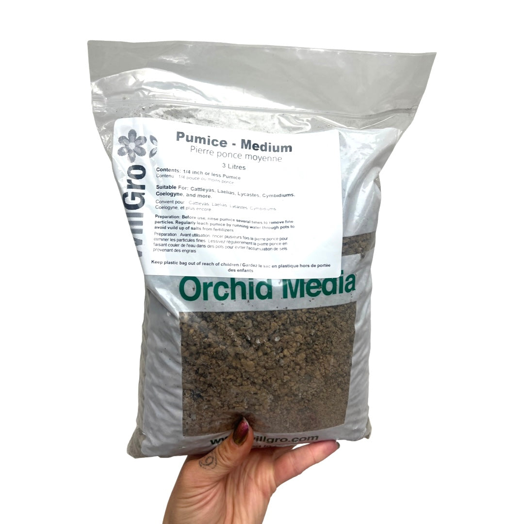 Pumice Multiple Sizes