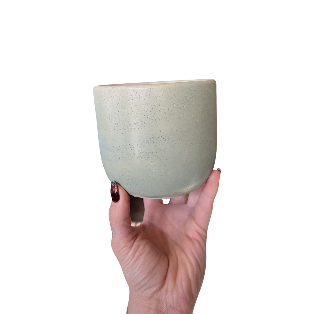 Tulip Planter | Plant 'Er Here