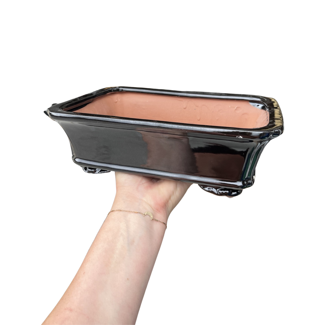 Bonsai Planters 10” Glazed Ceramic