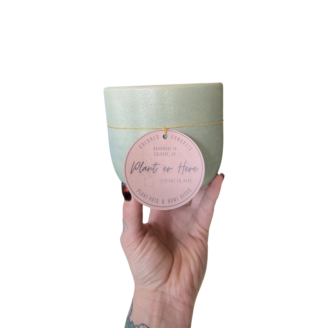 Tulip Planter | Plant 'Er Here