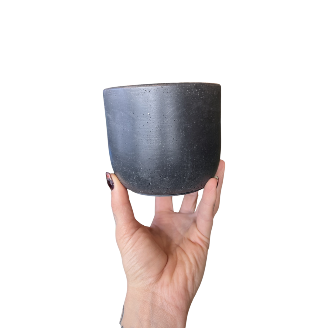 Tulip Planter | Plant 'Er Here