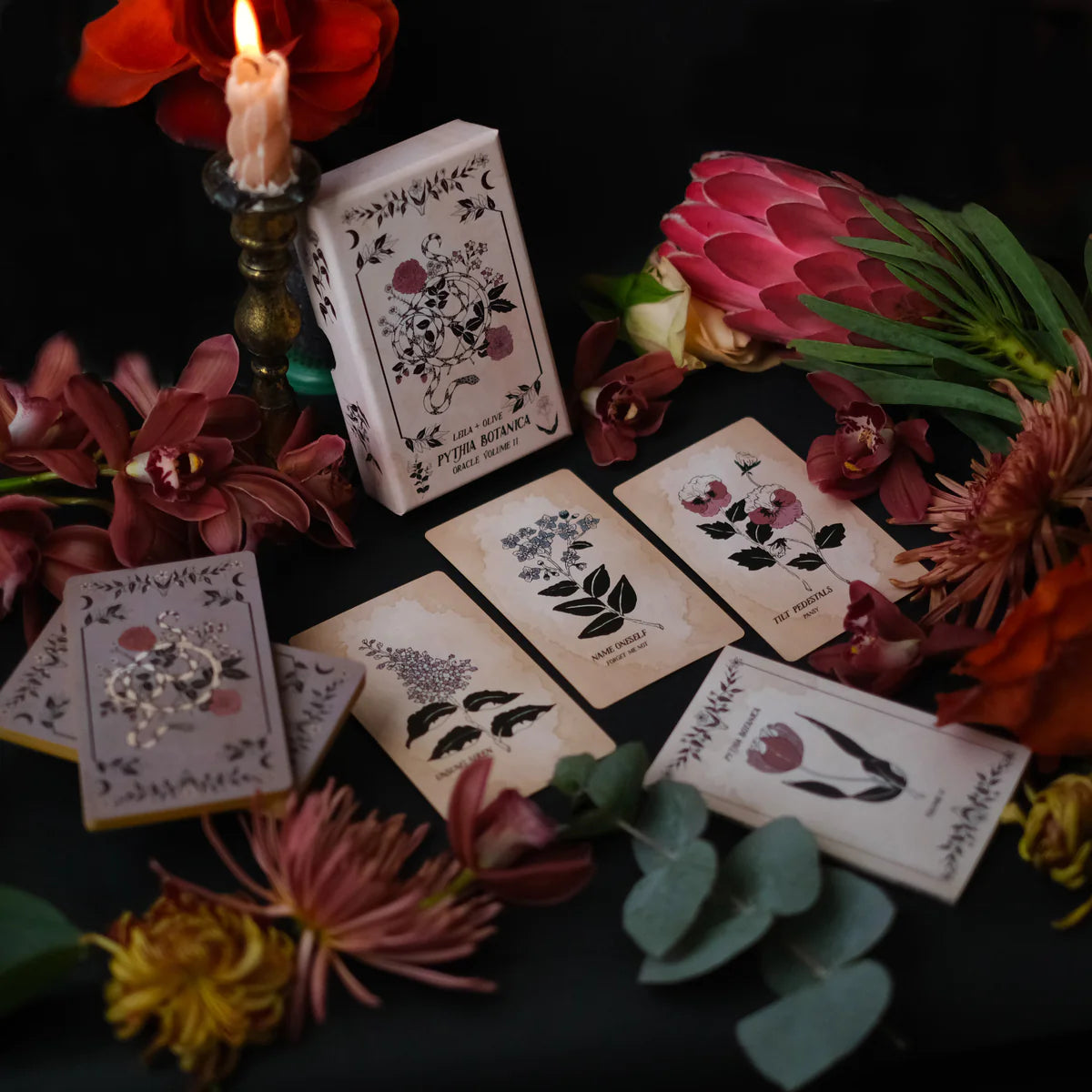 Pythia Botanica Oracle Volume II