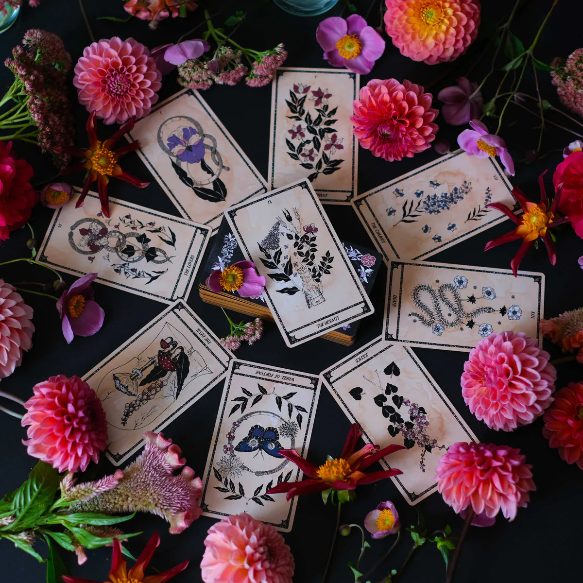 Viola Lux Umbra Tarot