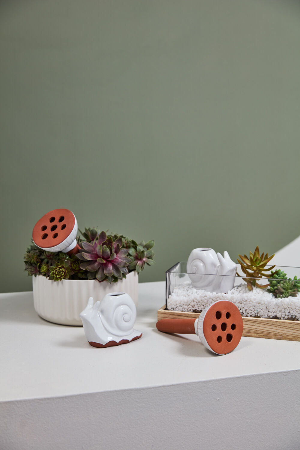 Ceramic Watering Snail