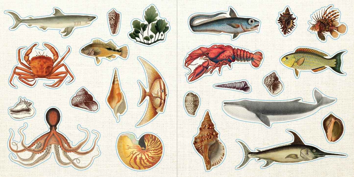 Loads of Ephemera Sticker Book