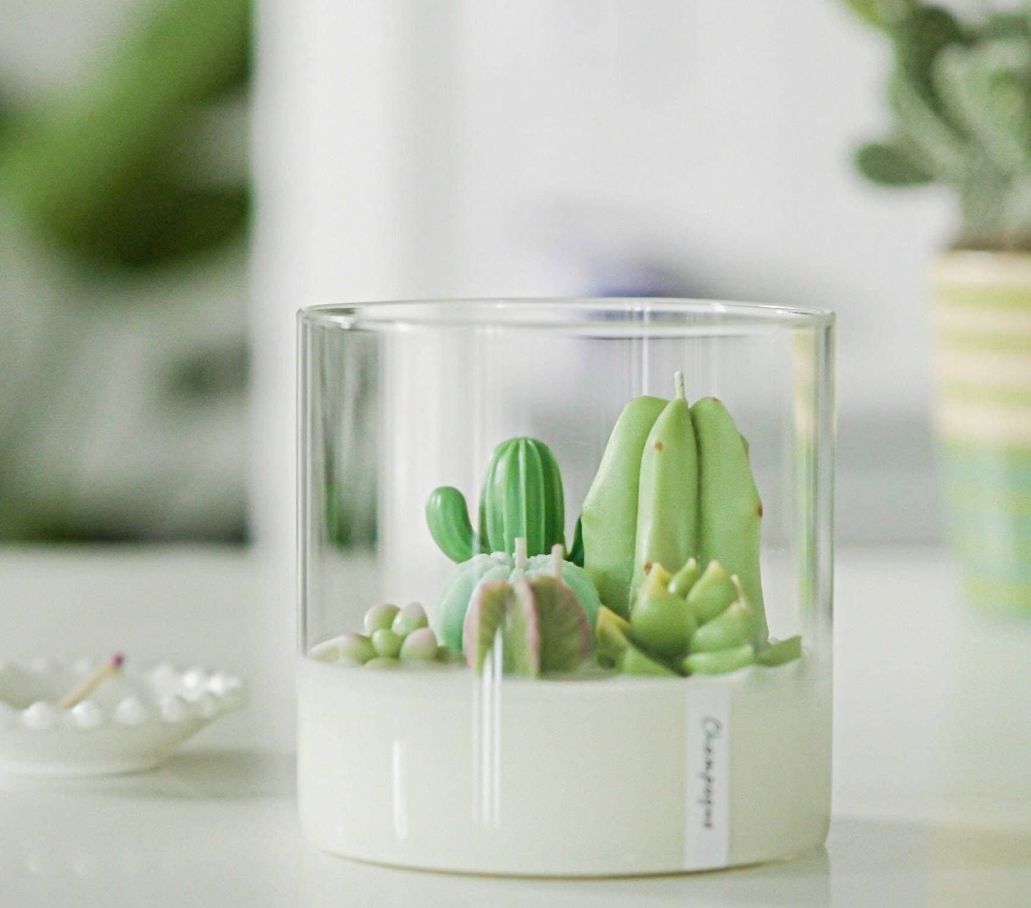 Terrarium Candle 3 Wick