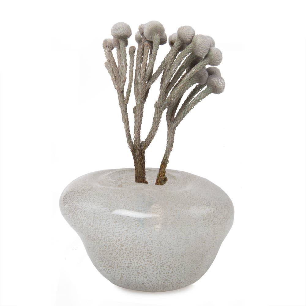 Nova | Ikebana Base