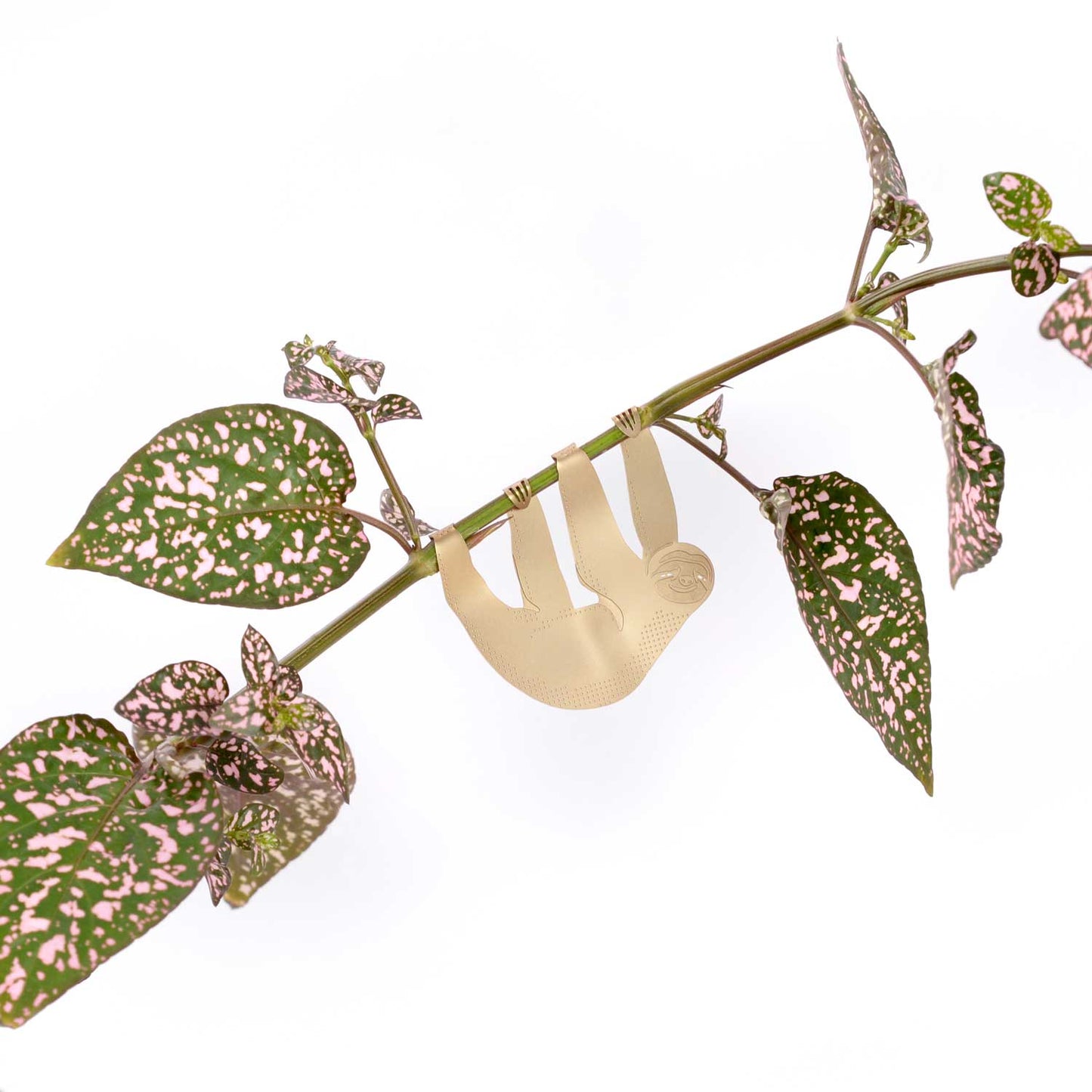 Plant Animals | Another Studio