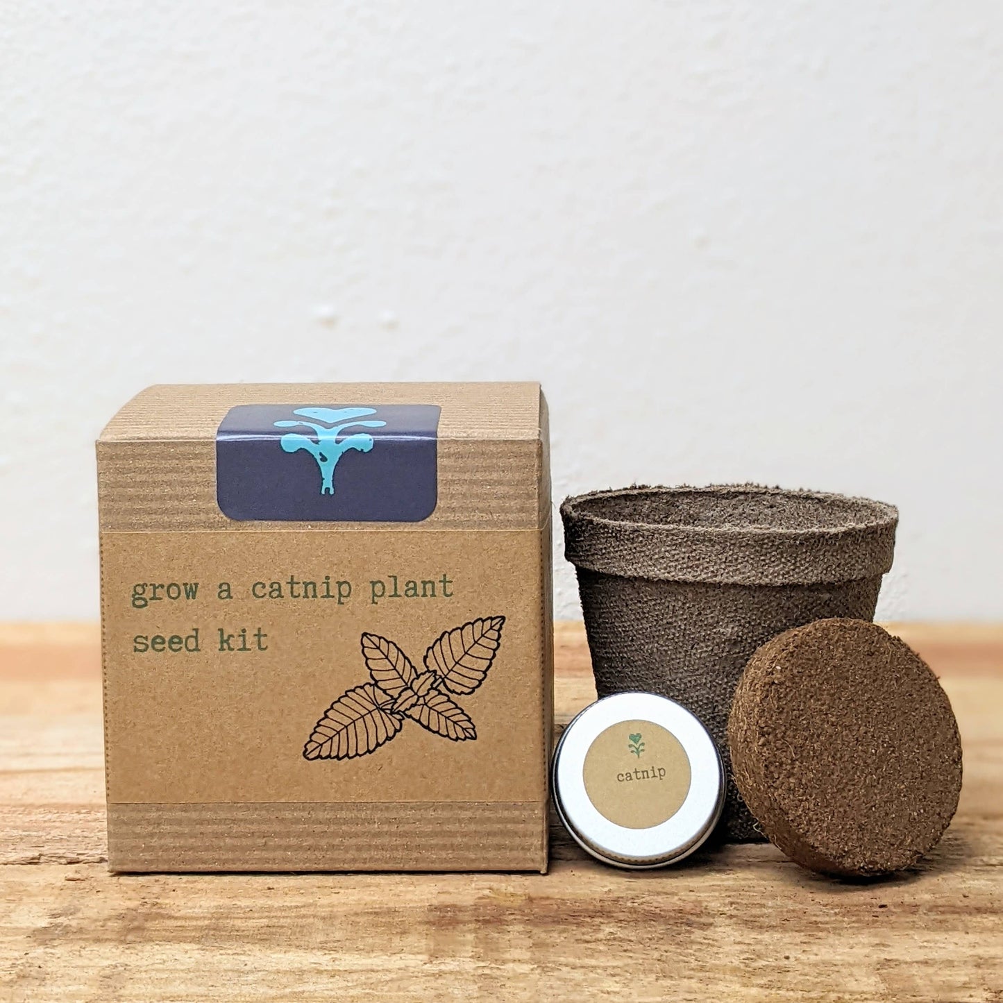 Grow a Catnip Plant Seed Kit