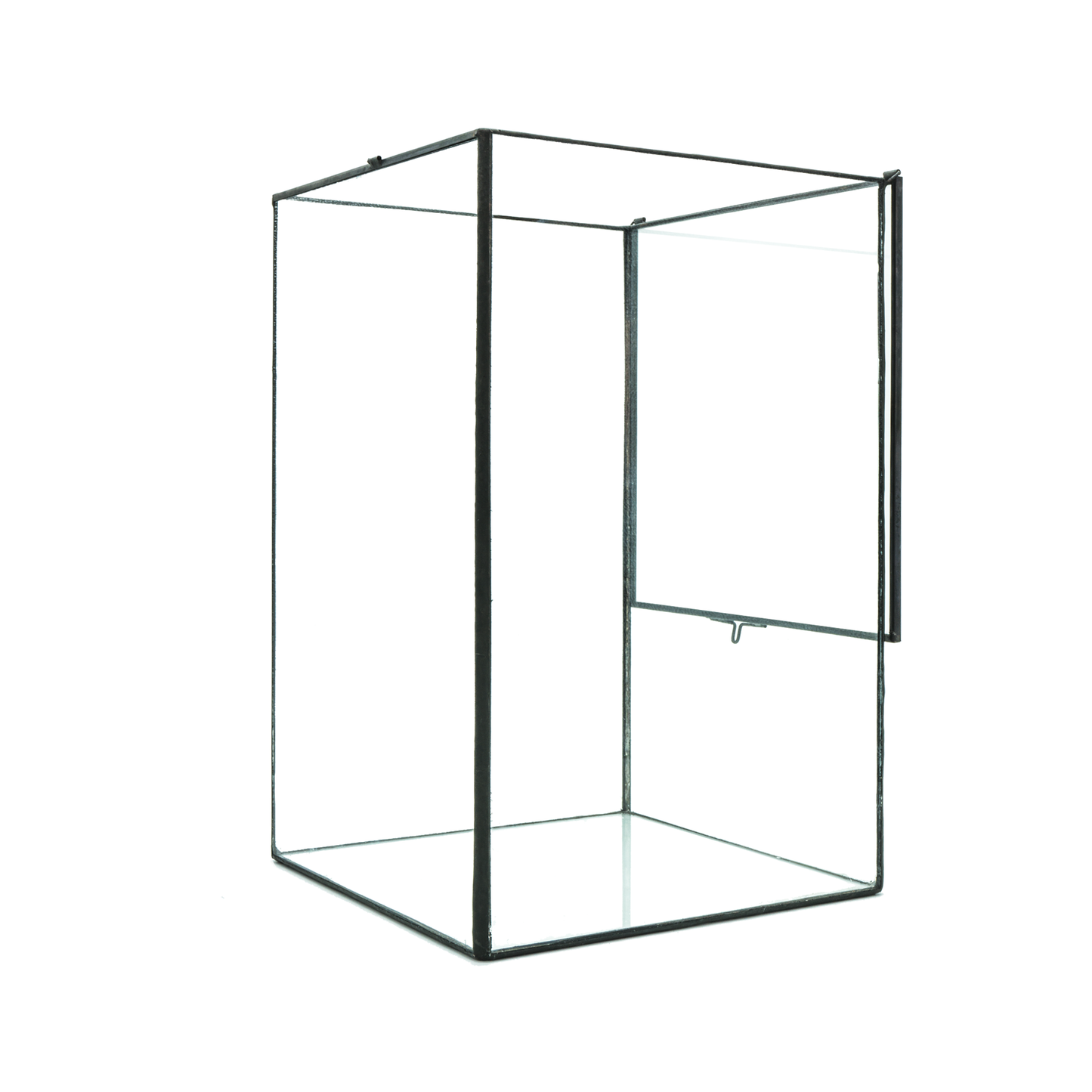 Indoor Plant/Little Forest Glass Vessel Container for Plants