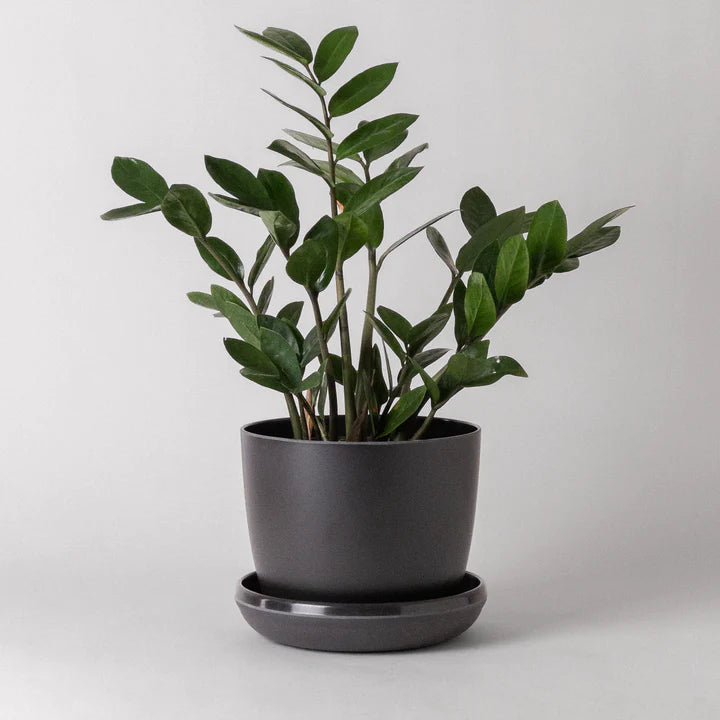 Kanso | Natural Textures Pot & Saucer