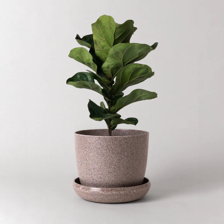 Kanso | Natural Textures Pot & Saucer