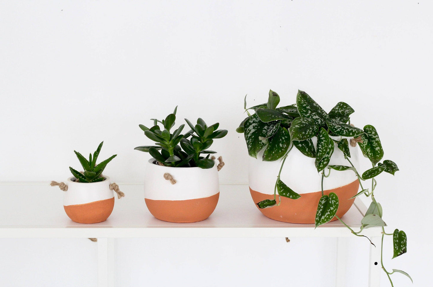 Burnt Orange Duo Glaze | Hanging Planter