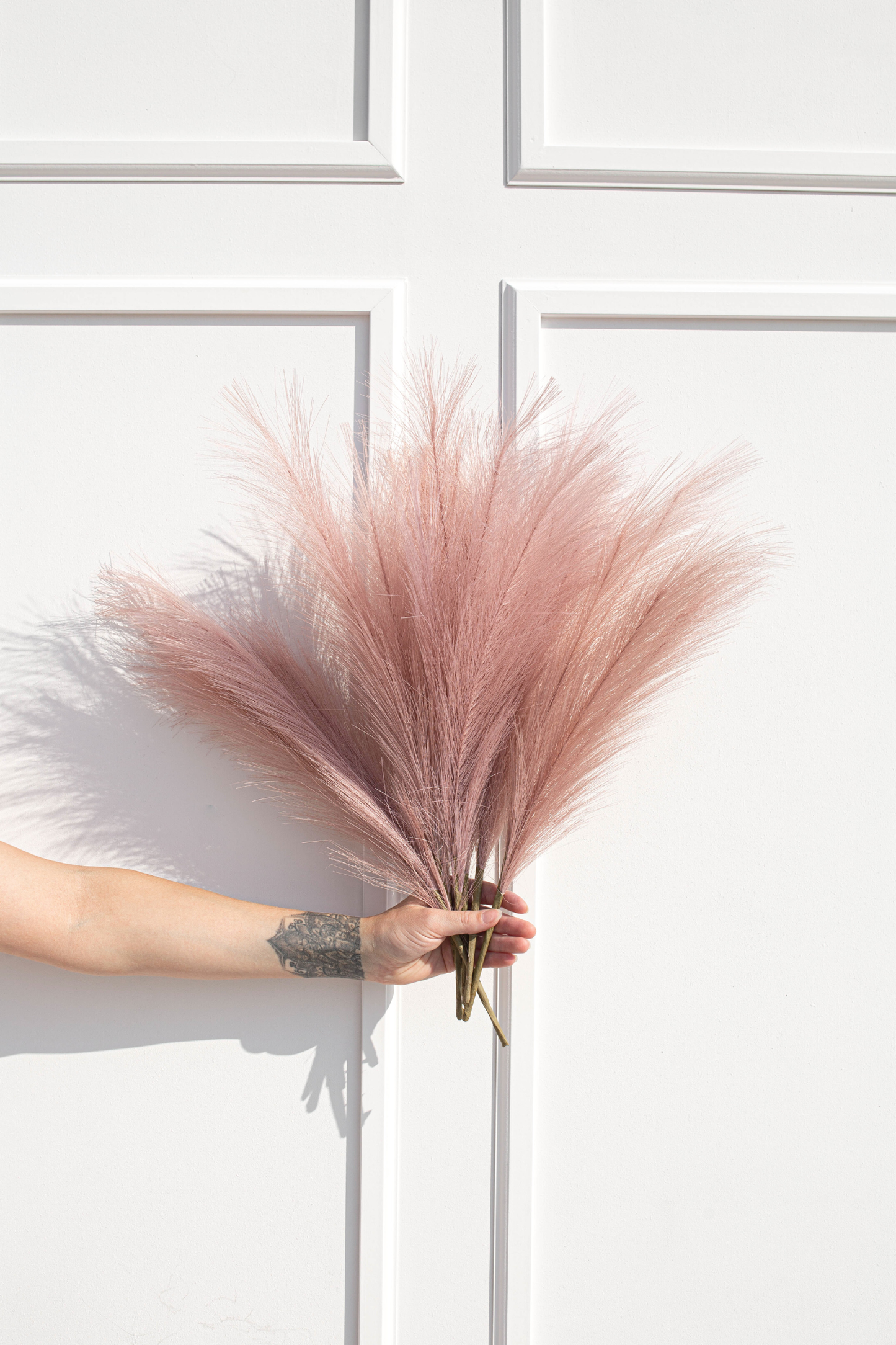 Pampas Grass Faux
