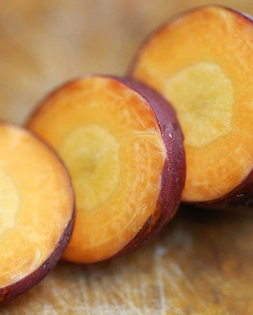 Seeds | Carrots Dragons Certified Organic