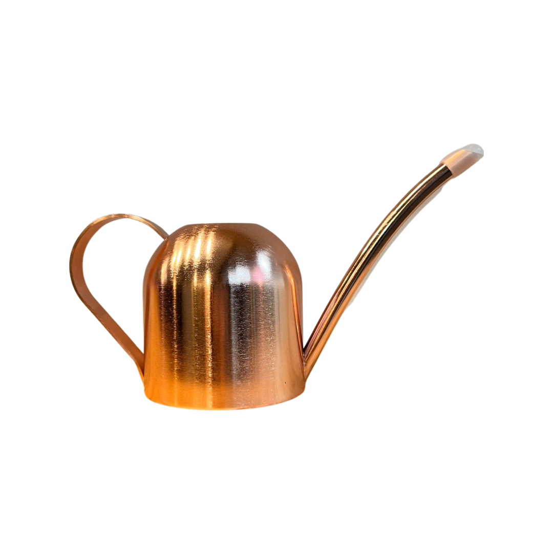Watering Can | Metal Gooseneck 500ml