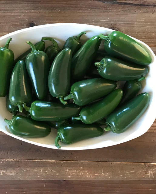 Seeds | Peppers Black Magic Jalapeño F1 Certified Organic