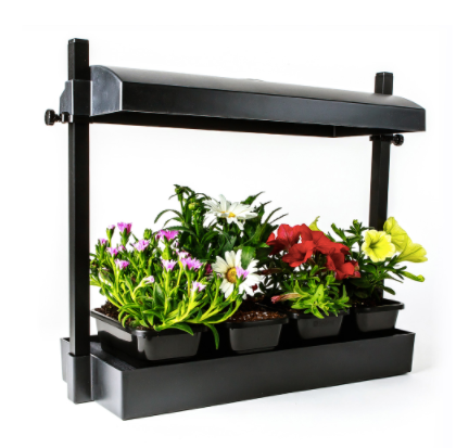 Micro Growlight Garden