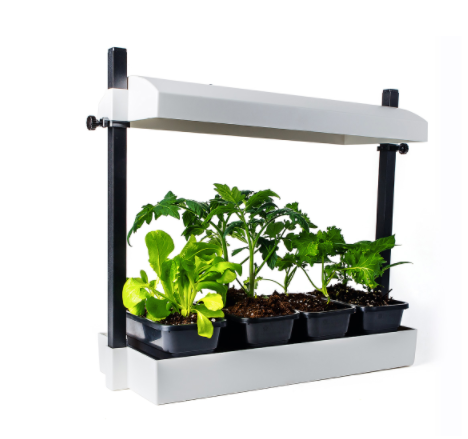 Micro Growlight Garden