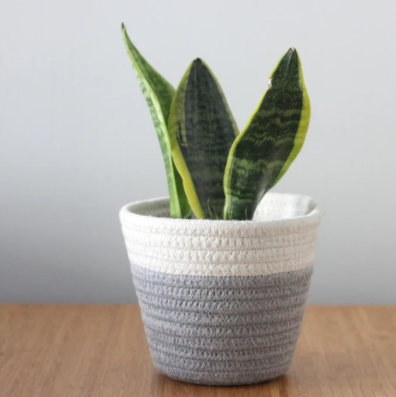Cotton Rope Basket Grey/White